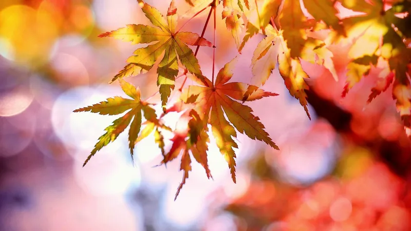 Бабье лето? В Казахстане потеплеет до +28°C