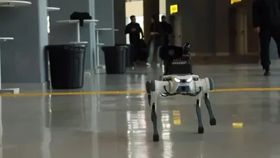 робопес в Астане, фото - Новости Zakon.kz от 22.09.2025 15:34