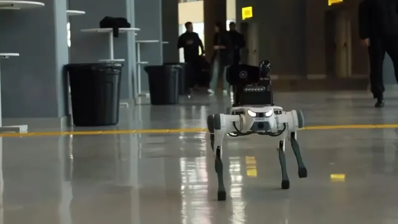 Зачем на концерте Backstreet Boys в Астане появились собаки-роботы