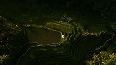 Земной рельеф, флора, трава, фото - Новости Zakon.kz от 23.09.2025 05:21