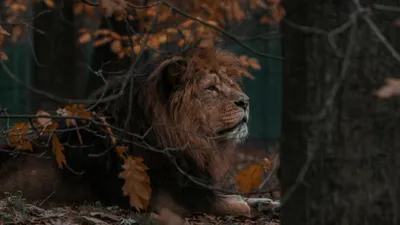 , фото - Новости Zakon.kz от 23.09.2025 10:35