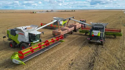 Зерно, пшеница, посев, сельское хозяйство, сельхозтехника, комбайнеры, сельскохозяйственная техника, сбор зерна, урожай, фото - Новости Zakon.kz от 24.02.2026 10:45