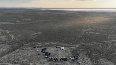 высадка, саксаул, саженцы, фото - Новости Zakon.kz от 23.09.2025 09:54