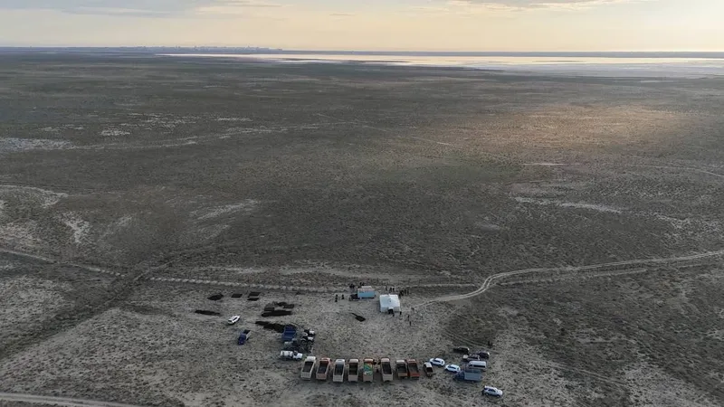 На территории "Кошкар-Ата" будет высажен 1 миллион саженцев саксаула