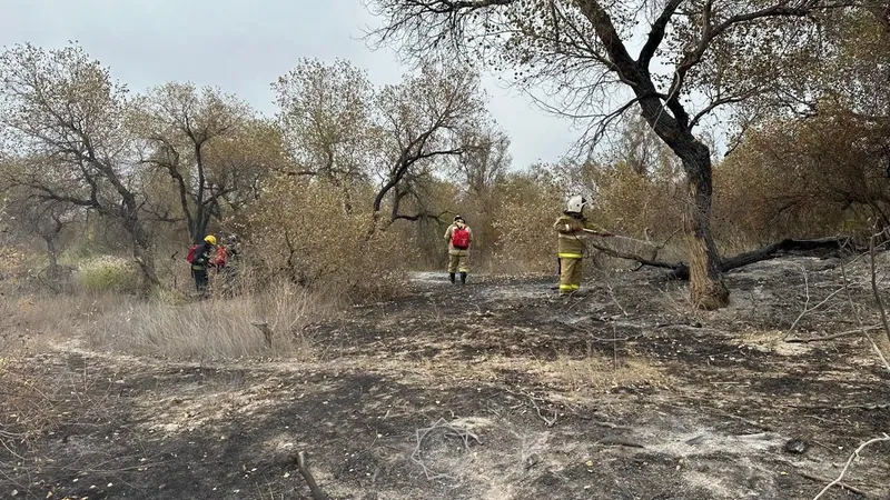 Пожар в нацпарке "Алтын-Эмель" охватил 45 гектаров территории