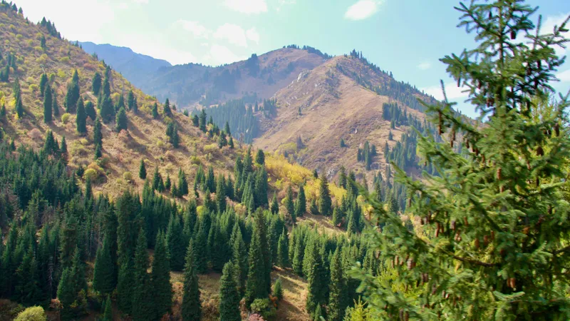 Қазақстанда табиғи-медициналық кластерлер құрылады