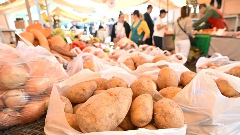 Продукты по доступным ценам: хорошую новость сообщили алматинцам