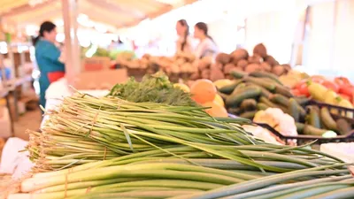 Ярмарка, базар, рынок, торговля, продукты питания, овощи, фото - Новости Zakon.kz от 23.10.2025 23:41