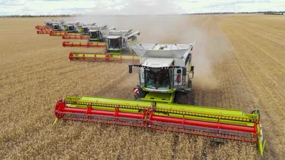 Зерно, пшеница, посев, сельское хозяйство, сельхозтехника, комбайнеры, сельскохозяйственная техника, сбор зерна, урожай, фото - Новости Zakon.kz от 24.10.2025 10:41