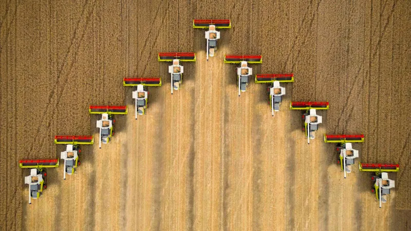 Рекордный урожай маслосемян собрали в Казахстане
