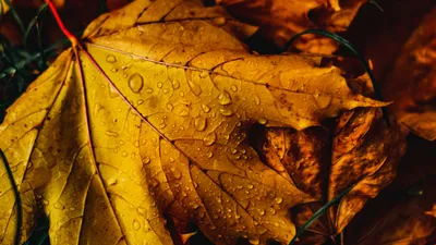 , фото - Новости Zakon.kz от 24.09.2025 17:52