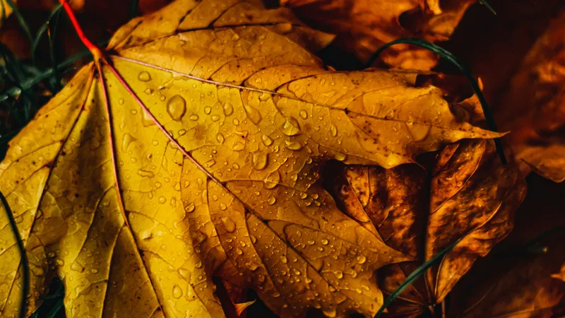 В Алматы вновь придут дожди с грозами, но ожидается потепление до +28°C