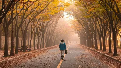 штормовое предупреждение, фото - Новости Zakon.kz от 24.09.2025 19:58