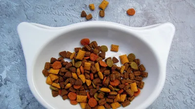 , фото - Новости Zakon.kz от 30.11.2025 17:57