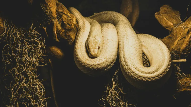 25 сентября – особенный день: почему с ним связано столько запретов