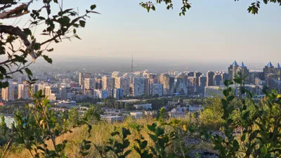 Меры против загрязнения воздуха, фото - Новости Zakon.kz от 25.09.2025 08:47