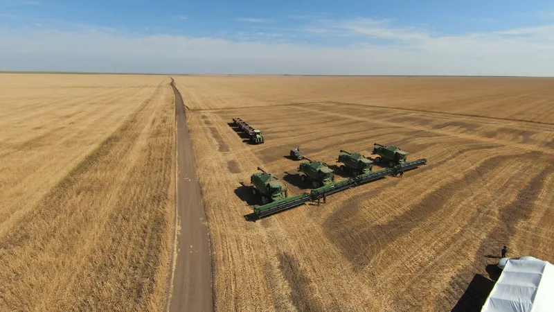Жатва в Акмолинской области идет к рекорду – 5 миллионов тонн уже собрано