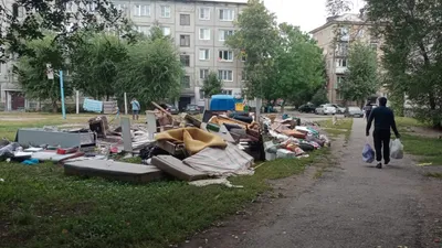 Мусор в Усть-Каменогорске, грызуны, мыши, крысы, фото - Новости Zakon.kz от 25.09.2025 15:16