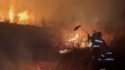 пожар в горах Алматы, фото - Новости Zakon.kz от 26.09.2025 22:30