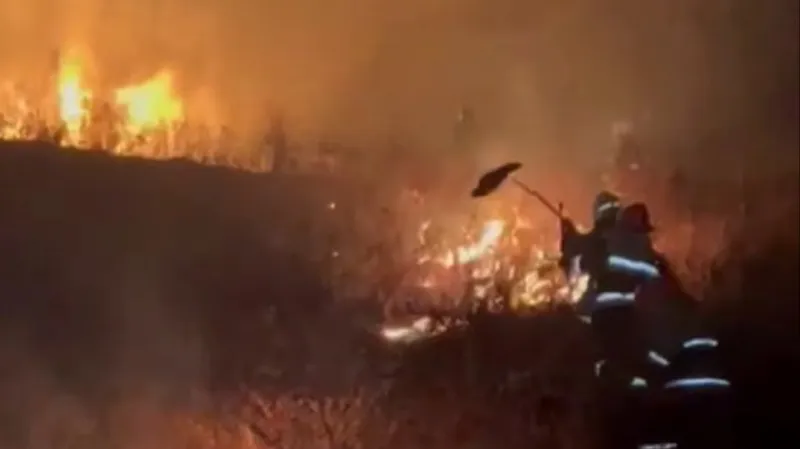 "Спасибо, что не допустили беды": алматинцы поблагодарили пожарных за работу в горах