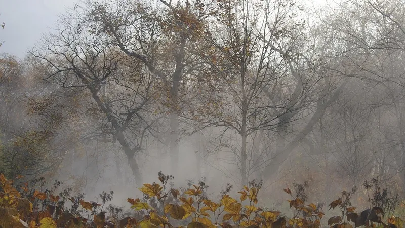 Заморозки, туман, град и ливень: штормовое предупреждение объявили в Казахстане
