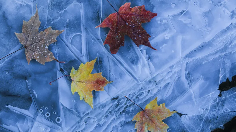 Похолодание и сильные дожди обрушатся на Казахстан