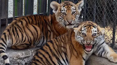 , фото - Новости Zakon.kz от 07.10.2025 11:06