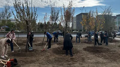 экоакция, Астана, озеленение , фото - Новости Zakon.kz от 27.09.2025 17:40