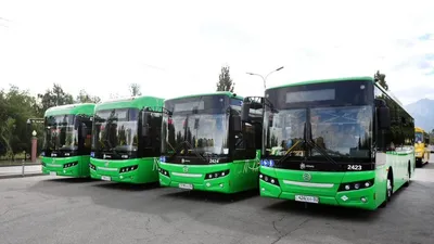 автобусы, парк, строительство, Алматы, фото - Новости Zakon.kz от 27.09.2025 14:19