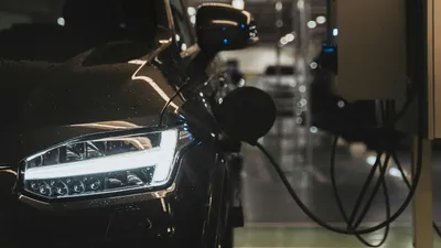 , фото - Новости Zakon.kz от 08.10.2025 11:50