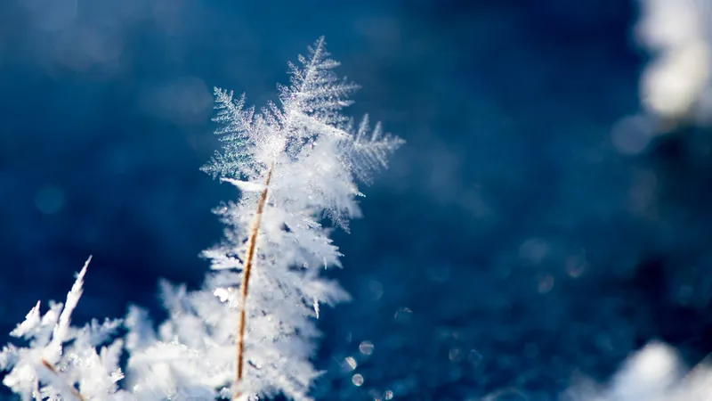 Первый снег выпал в Костанае