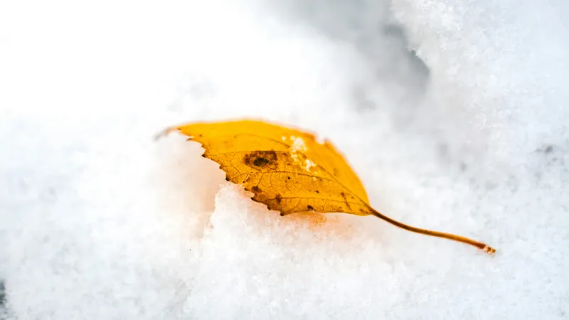 Снегопад и резкое похолодание обрушатся на пять регионов Казахстана в начале октября