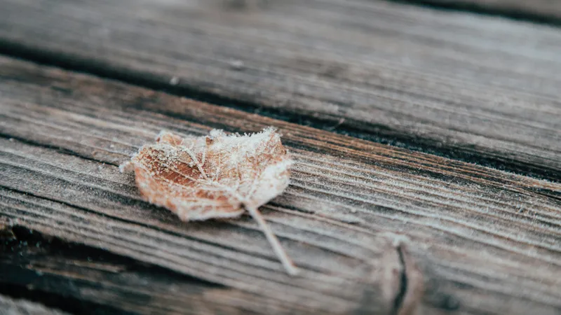 Снег, дожди и заморозки до -3°C накроют Казахстан 30 сентября