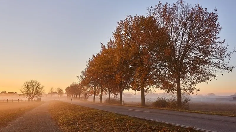 Туман, снег, дожди и заморозки: штормовое предупреждение объявлено в Казахстане