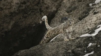 , фото - Новости Zakon.kz от 14.10.2025 17:30