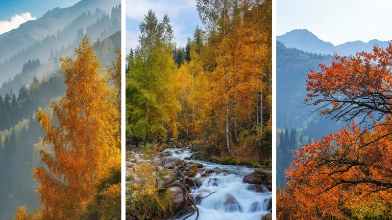 "Маг и волшебник" очаровал казахстанцев симфонией красок в горах Алматы