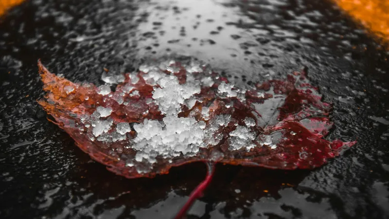 Снег, мороз, ливни, тепло до +20°C: погода удивит жителей Астаны, Алматы, Шымкента 1-3 октября