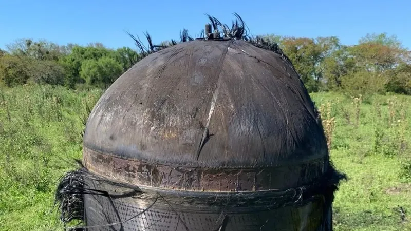 Неопознанный "волосатый" объект упал с неба на ферму в Аргентине