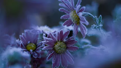 Казахстан, погода на 1 октября, заморозки, пять областей, дожди, фото - Новости Zakon.kz от 30.09.2025 17:26