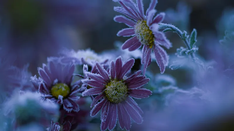 1 октября в четырех регионах Казахстана ударят заморозки до -3°C