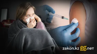 , фото - Новости Zakon.kz от 03.10.2025 17:04