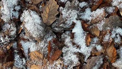 , фото - Новости Zakon.kz от 01.10.2025 14:22