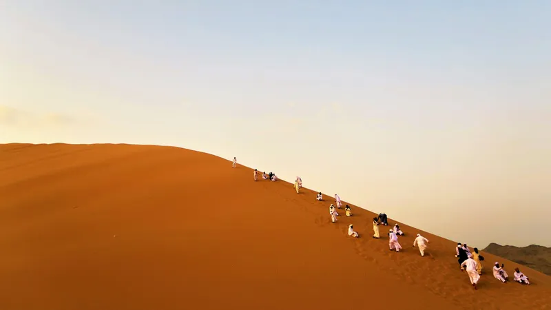 В пустыне Саудовской Аравии нашли доисторические "дорожные знаки"