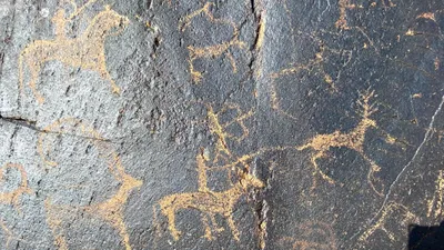 ИИ-модель, фото - Новости Zakon.kz от 02.10.2025 13:52