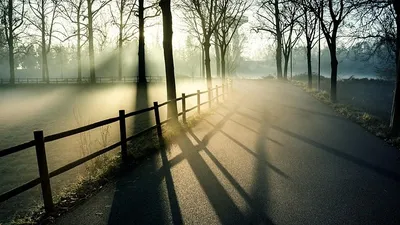 , фото - Новости Zakon.kz от 03.10.2025 10:33