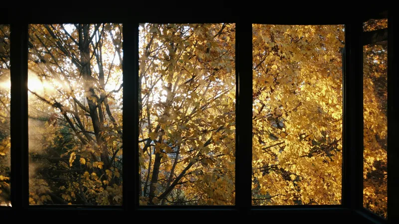 Мороз и солнце: какая погода будет в Астане, Алматы и Шымкенте 3-5 октября