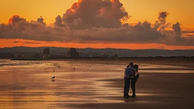 ИИ научился предсказывать романтическое влечение по сигналам мозга, фото - Новости Zakon.kz от 02.10.2025 23:21