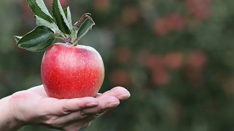 Правила ведения госреестра селекционных достижений изменили в Казахстане