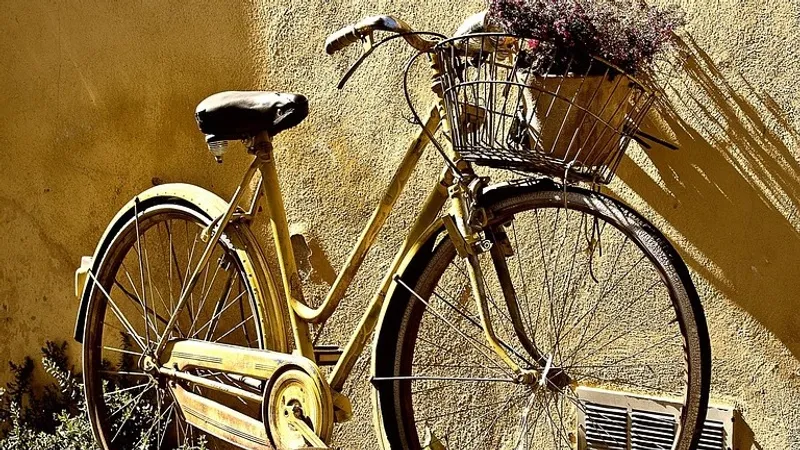 74-летняя велосипедистка вместо юбилея собрала 22 тысячи евро для жителей Газы