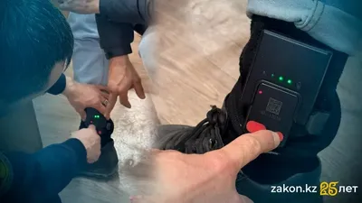 коллаж с электронным браслетом слежения, фото - Новости Zakon.kz от 03.10.2025 14:16